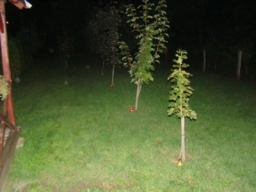 szentmihalynap2015_58_20210412